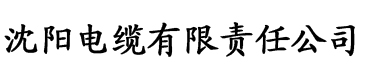 藏精阁影视电缆厂logo